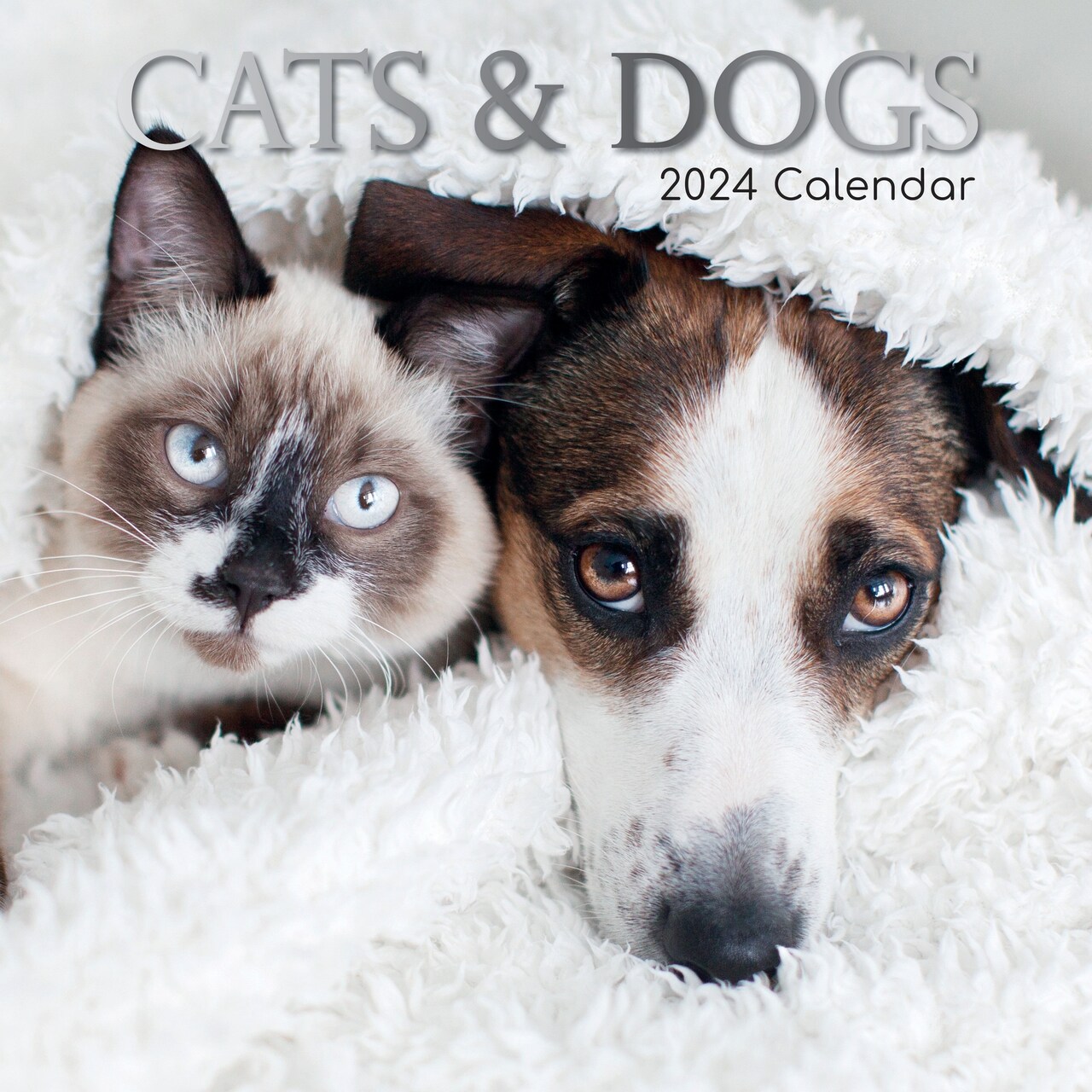 2024 Square Wall Calendar, Cats & Dogs, 16-Month Animals Theme with 180 Reminder Stickers (12 x 12 In) | Michaels 2024 square wall calendar, cats & dogs, 16-month animals theme with 180 reminder stickers (12 x 12 in) | michaels